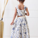 Blue Resham Embroidered Lehenga