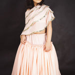 Dancing Moods Lehenga Set