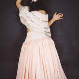 Dancing Moods Lehenga Set