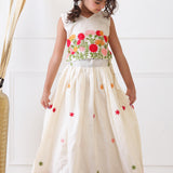 Gulzaar Resham Embriodered Lehenga