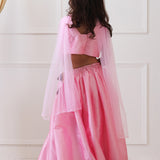 Rimjhim Embriodered Lehenga Set