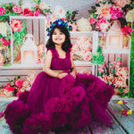 Plum Luxury Party Gown