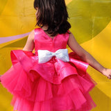 Rose Ballerina Dress