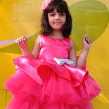Rose Ballerina Dress