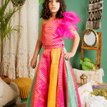 Boho Girl Lehenga Choli with Borcade Design