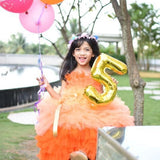 Princess dress for girls