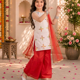 Parijat Farshi Suit