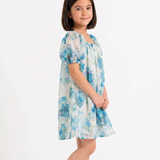 Floral Organza A-Line Dress