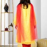 Zard Anar Suit