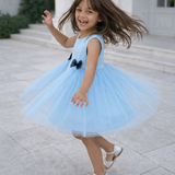 Bluebell Wings Party Dress