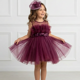 Plum Candy Dress