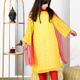 Zard Anar Suit