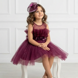 Plum Candy Dress
