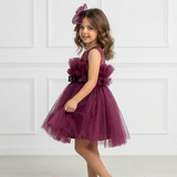 Plum Candy Dress