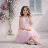 Blush Bloom Story Dress