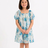 Floral Organza A-Line Dress
