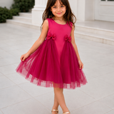Pinkbell Wings Party Dress