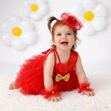 Ruby Radiance Frock Set