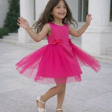 Pinkbell Wings Party Dress