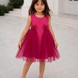 Pinkbell Wings Party Dress