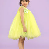 Berry Lime Crush Tutu