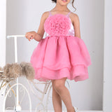 Rose Punch Ruffle Frock