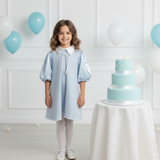 Arctic Dreams Tunic Dress