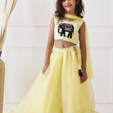 Mini Maharani Embriodered Lehenga Set