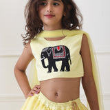 Mini Maharani Embriodered Lehenga Set