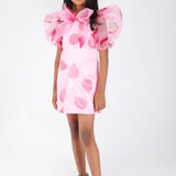 Pink Willow Organza Dress