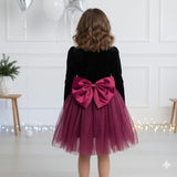 Twilight Plum Shimmer Velvet Party Dress