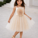Mistberry Tutu Dress