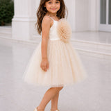 Mistberry Tutu Dress