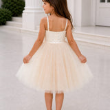 Mistberry Tutu Dress