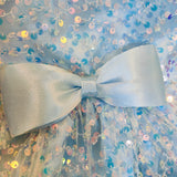 Icey Aurora Tulle Dress
