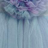 Skyberry Tutu Dress