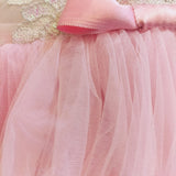 Blush Whisper Story Dress