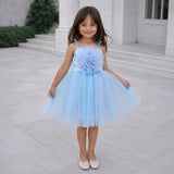 Skyberry Tutu Dress