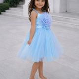 Skyberry Tutu Dress
