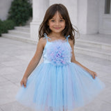 Skyberry Tutu Dress