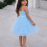 Skyberry Tutu Dress