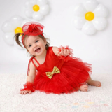 Ruby Radiance Frock Set