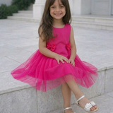 Pinkbell Wings Party Dress