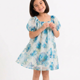 Floral Organza A-Line Dress