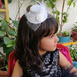 Mini Hat Feather Clip