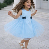 Bluebell Wings Party Dress