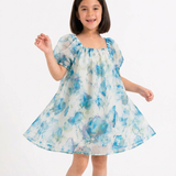Floral Organza A-Line Dress