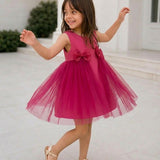 Pinkbell Wings Party Dress