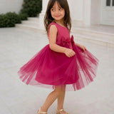 Pinkbell Wings Party Dress