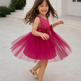 Pinkbell Wings Party Dress